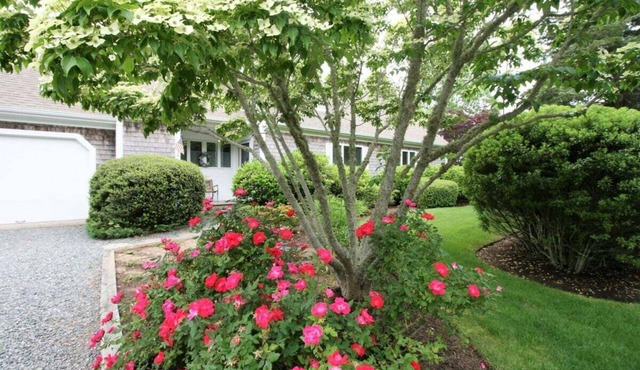 Beautiful Cape Cod Summer Home