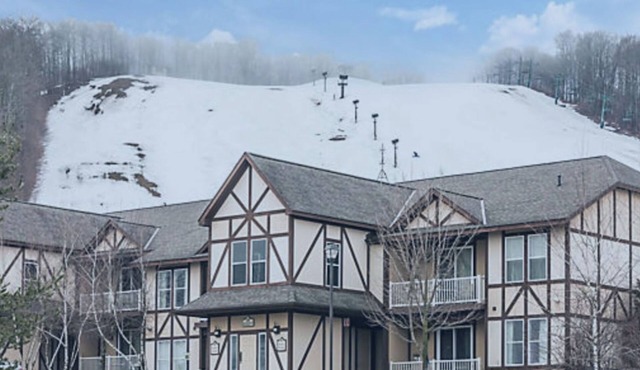 Boyne Mountain Ski In/Ski Out 2BR/2BA Full Kitchen, Fireplace, In-unit W/D