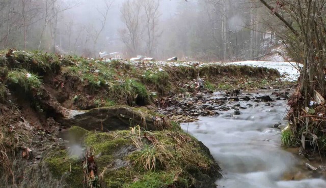 Cozy Creekside Cottage with Skiing & Hiking Nearby