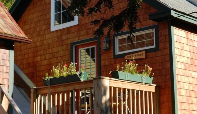 Cozy family and pet friendly home in North Conway Village