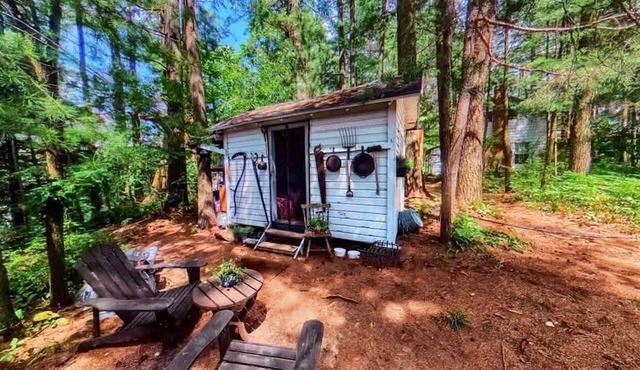 Cozy Tiny House Perfect for Fishing and Water Sports on Brantingham Lake, NY in Brantingham