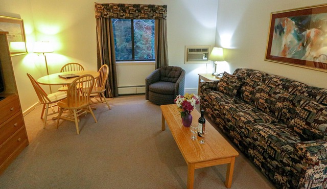 Efficiency with Sleeper Sofa only 120