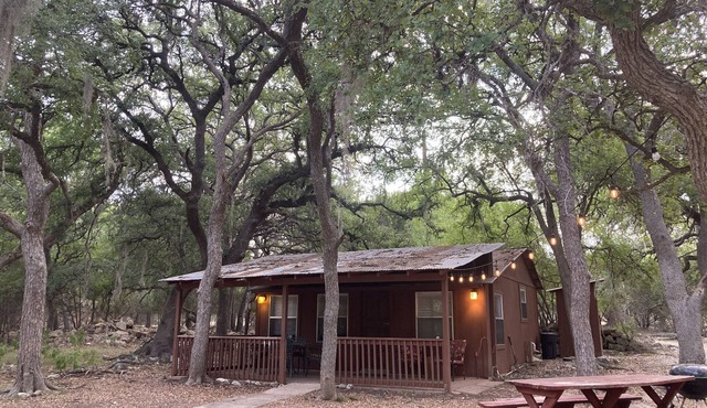 Little Cottage in the Woods
