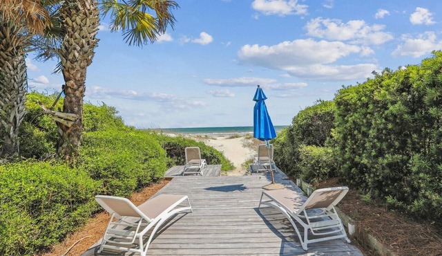 Luxurious Ocean Front Sea Pines Homes
