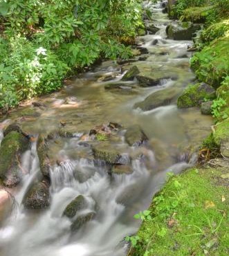 Panther Creek Cabins