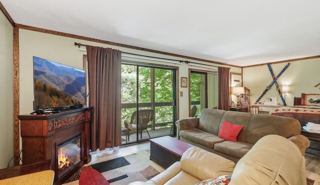 Pet Friendly Beech Condo w Fireplace+Walk to Lift!