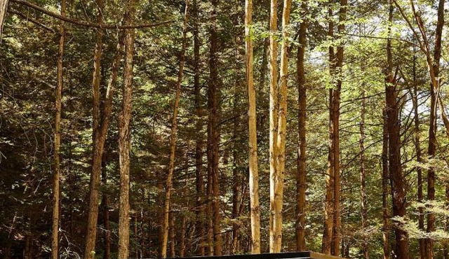 Postcard Cabins Eastern Catskills, Outdoor Collection by Marriott Bonvoy