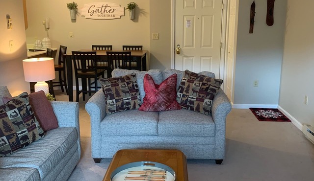 Spacious 1 BR; views of Loon Mountain!