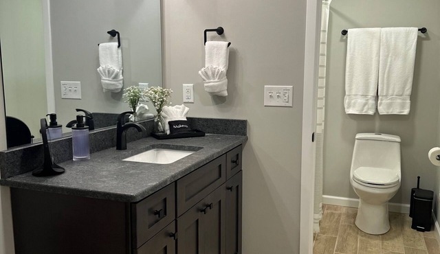 Trailhead Cottage - Half mile to PNF, dog friendly!
