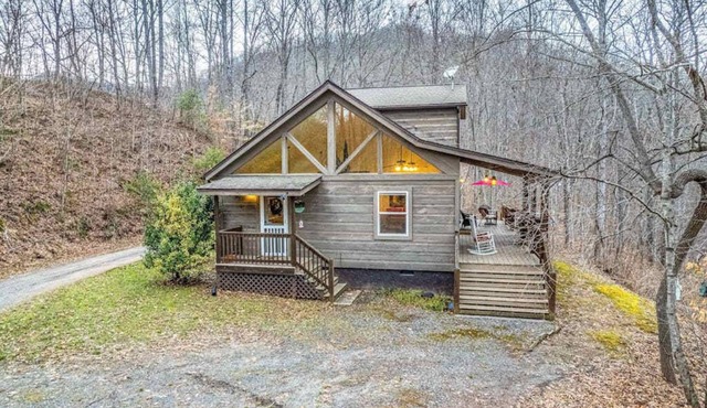 Tree Top Cabin
