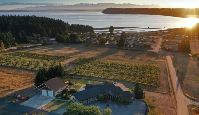 Vineyard Villa Bayview Getaway. Family Friends Gathering and Kids' Fun Paradise