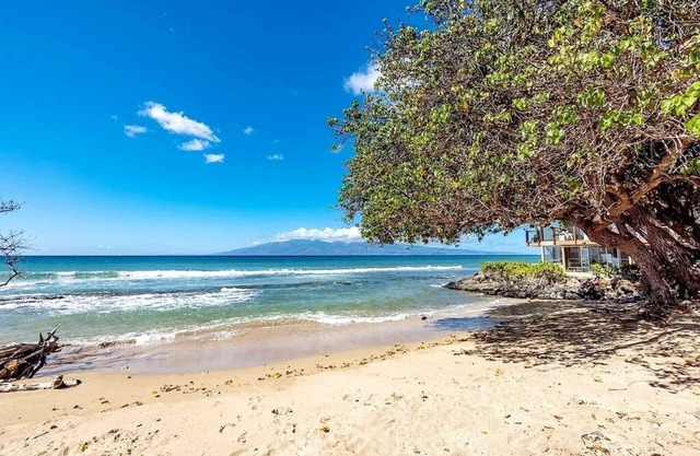 Honokowai Palms 