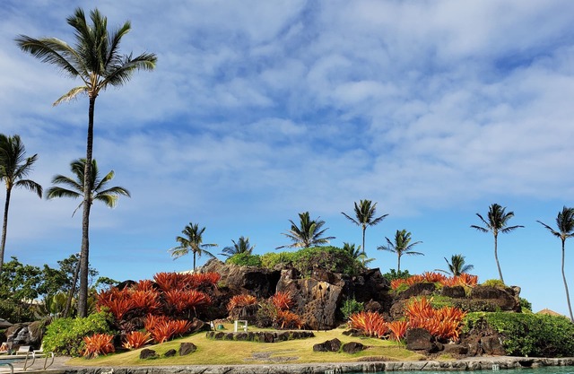 Resort Ocean 