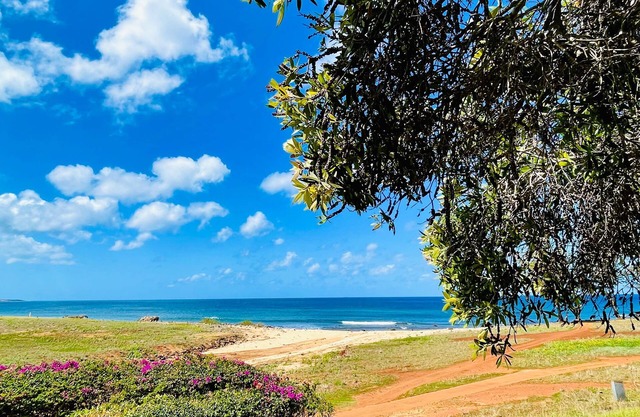 Spacious King studio in Paniolo Hale at Kepuhi Beach with amazing ocean views