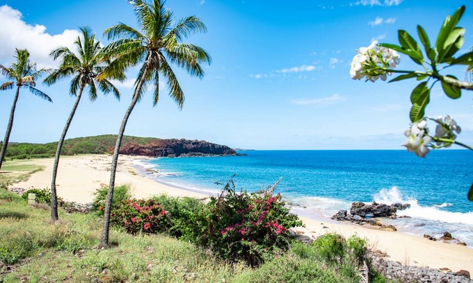Maunaloa Apartment | 32 m² Studio flat ∙ 2 guests