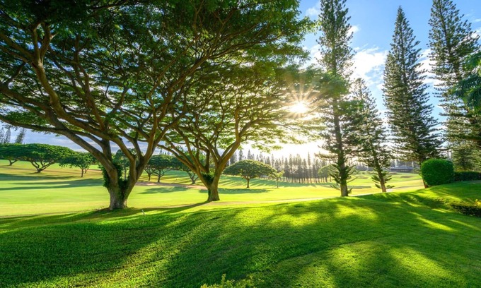 Kapalua Condo | KBM Resorts | FREE CAR | Kapalua Golf Villa | Golf Course view | 2-Bedroom Condo! KGV-14P6