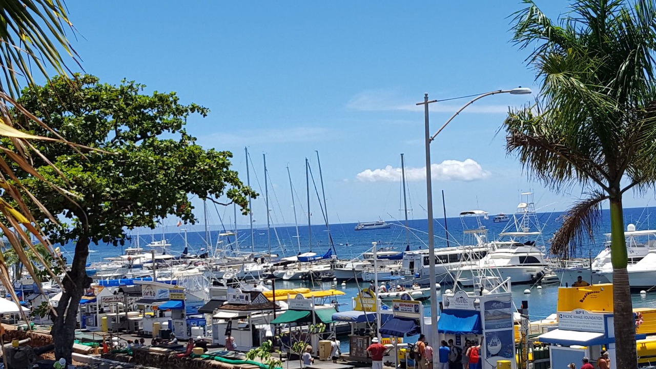Photo of Others in Historic Lahaina Front Street