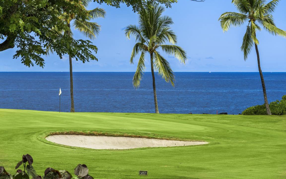 Photo of Others in Keauhou