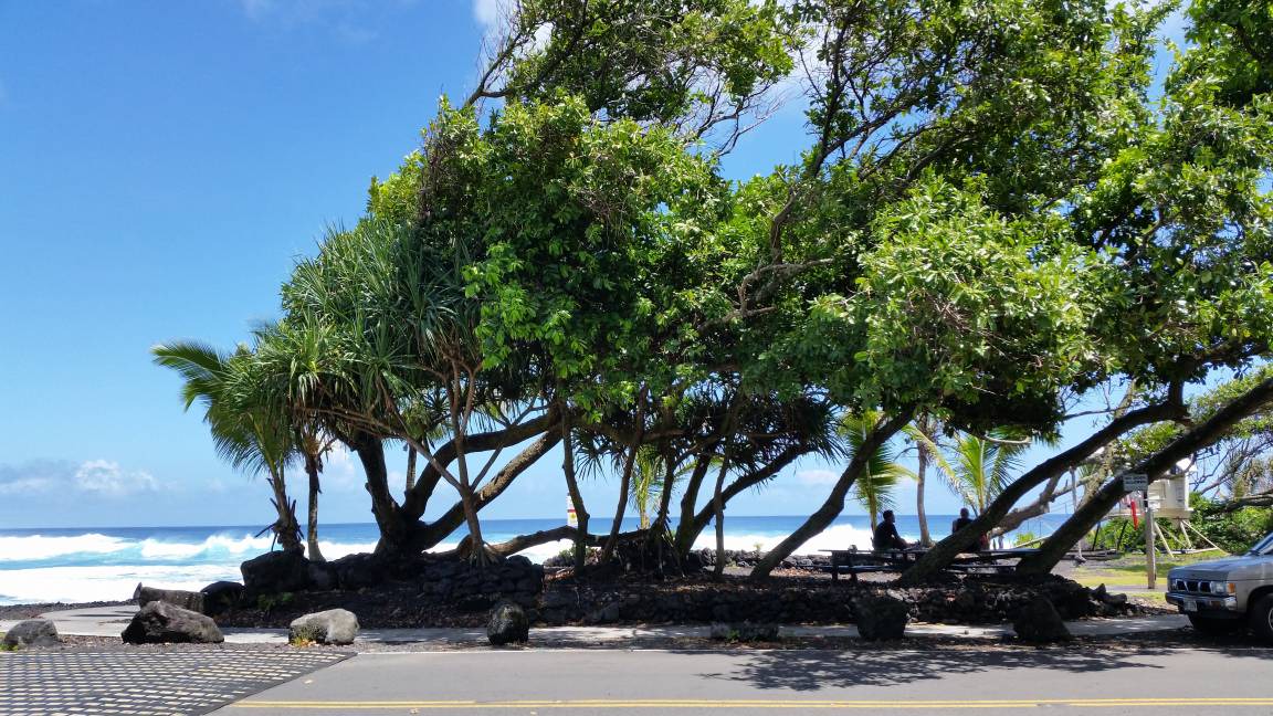 Photo of Others in Hilo