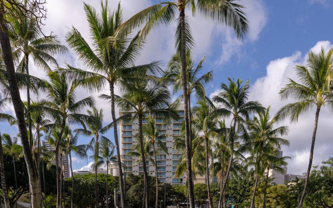 Photo of Others in Waikiki