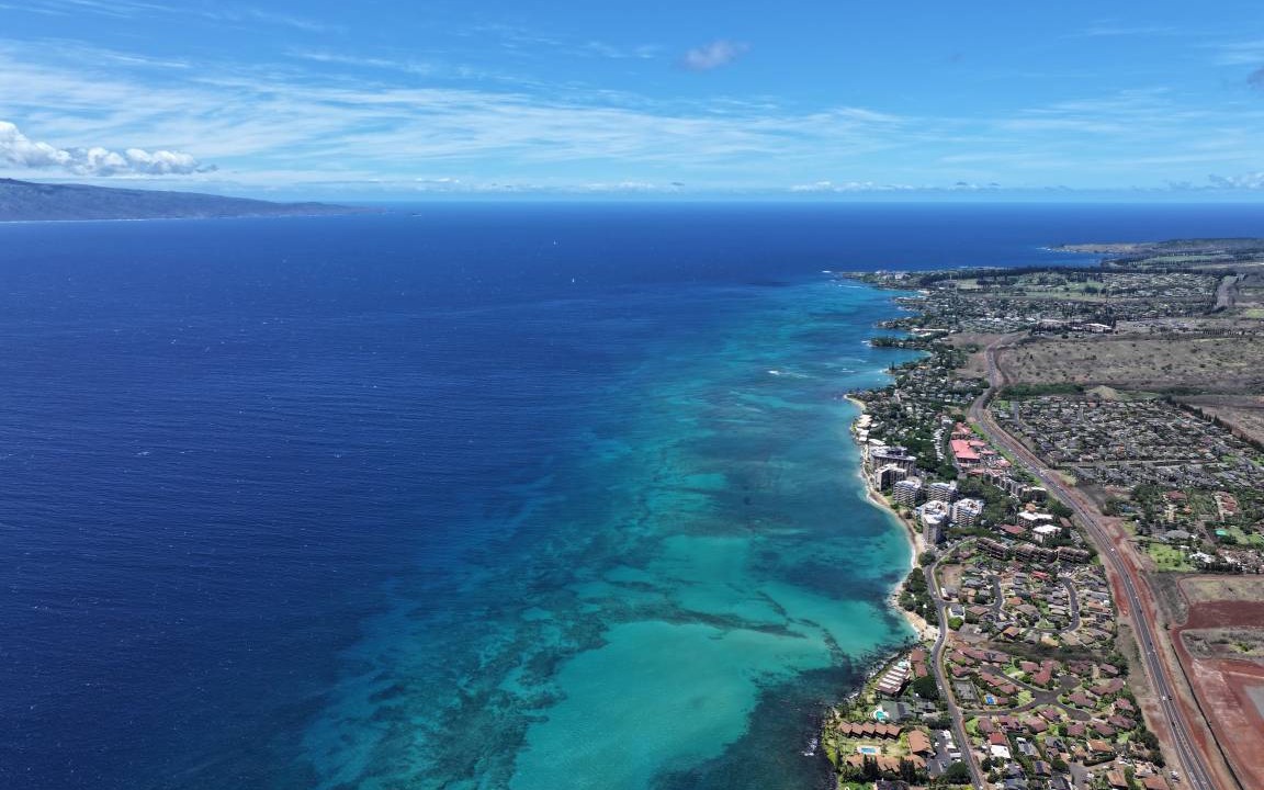 Photo of Others in Kahana
