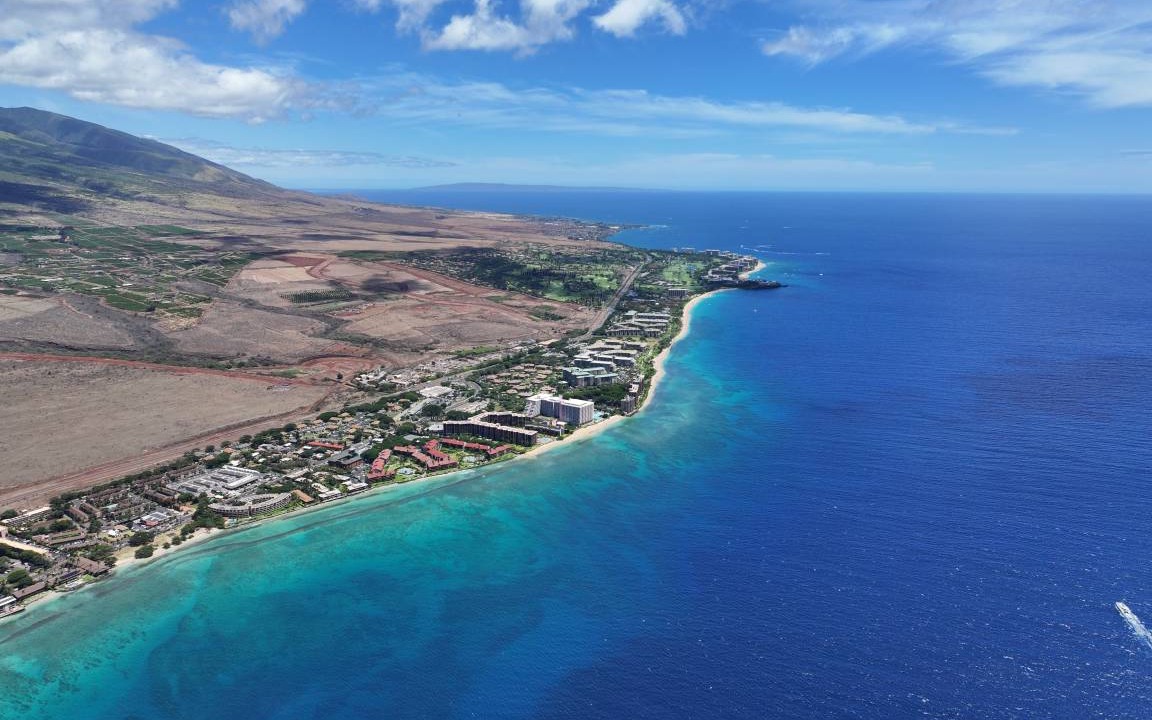 Photo of Others in Honokowai