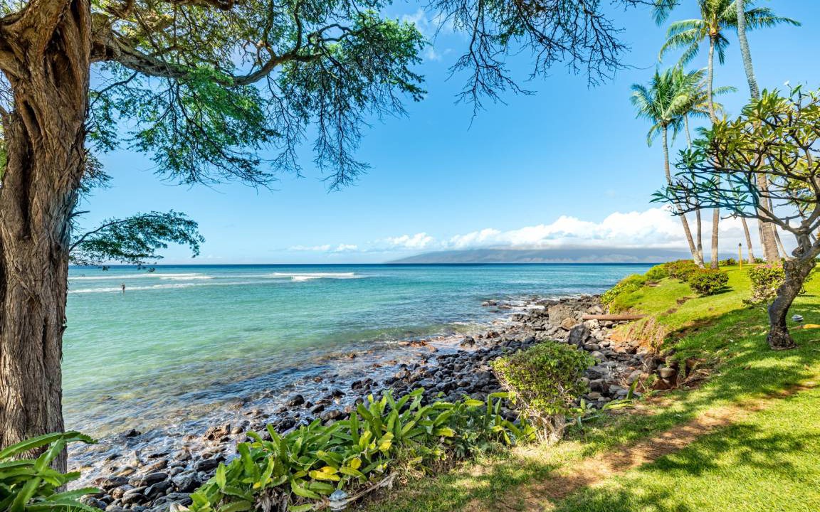 Photo of Others in Honokowai