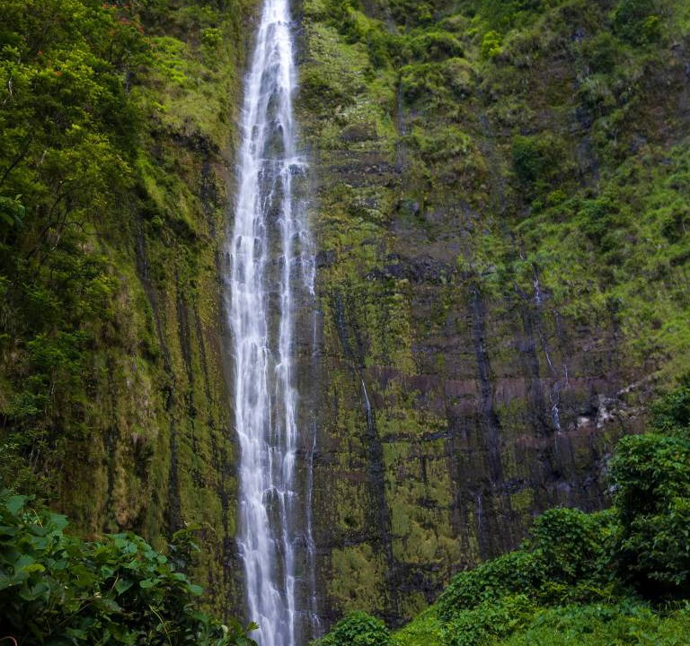 Photo of Others in Honokowai