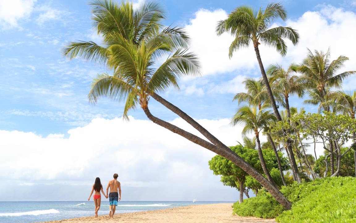 Photo of Others in Honokowai