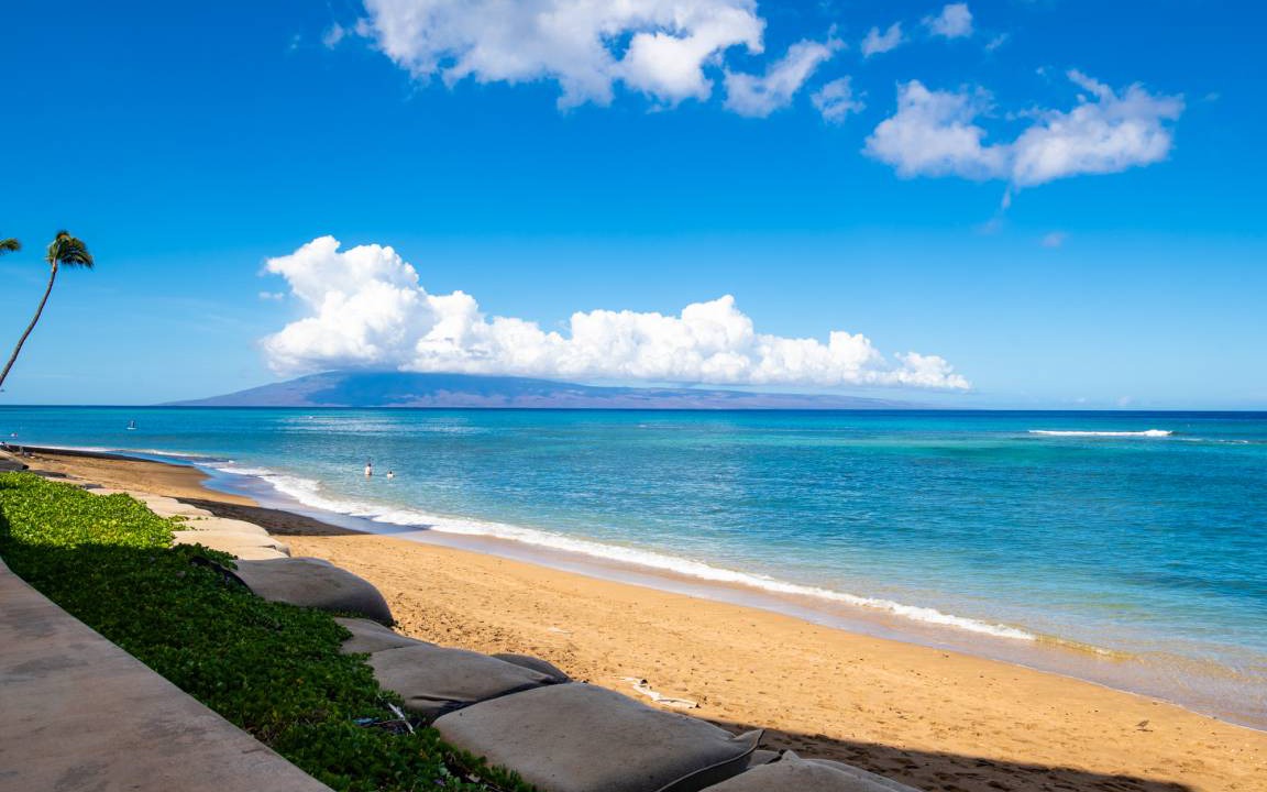 Photo of Others in Kahana