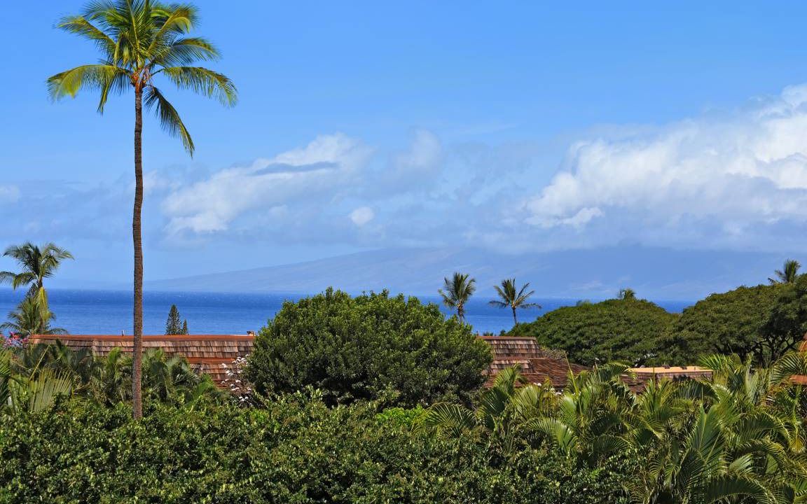 Photo of Others in Kaanapali