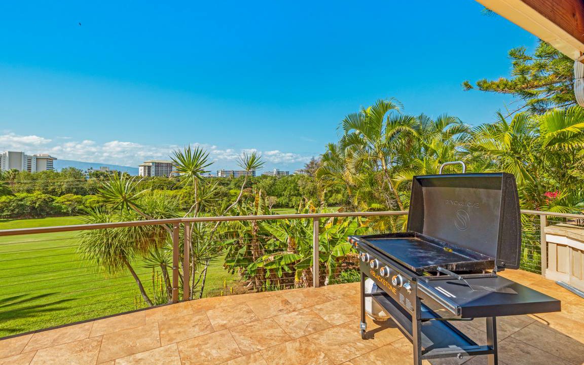 Photo of Others in Kaanapali