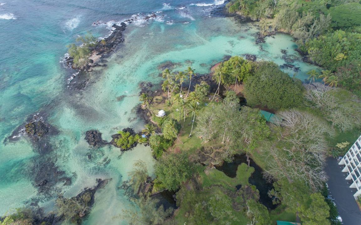 Photo of Others in Hilo