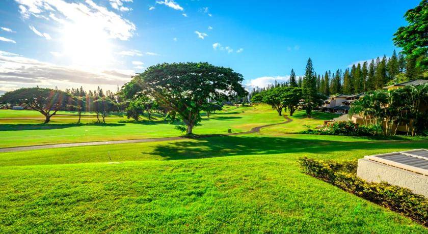 Photo of Others in Kapalua