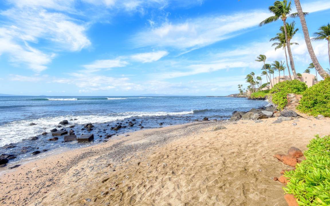Photo of Others in Maalaea