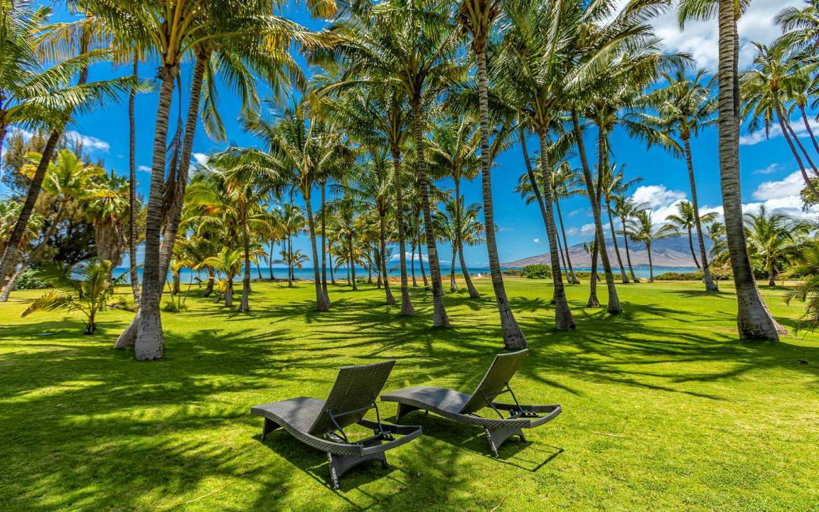 Photo of Others in Kihei
