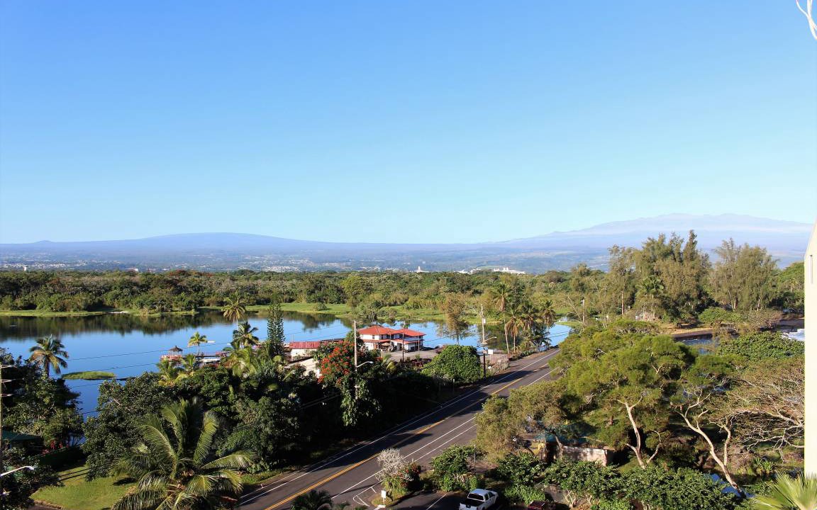Photo of Others in Hilo