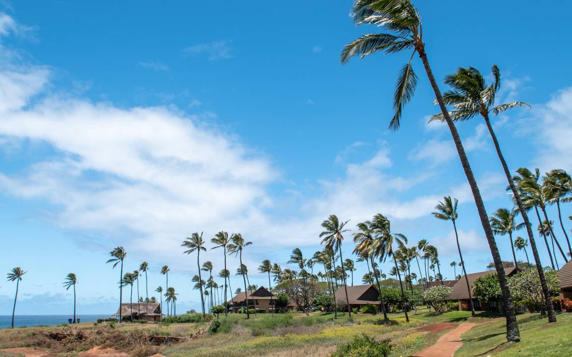 Photo of Others in Maunaloa