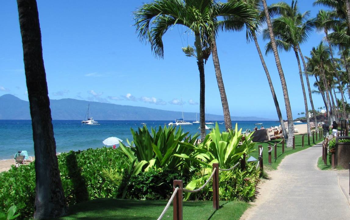Photo of Others in Kaanapali