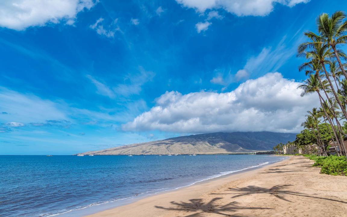 Photo of Others in Kihei