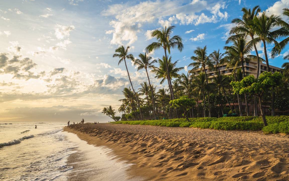 Photo of Others in Kaanapali
