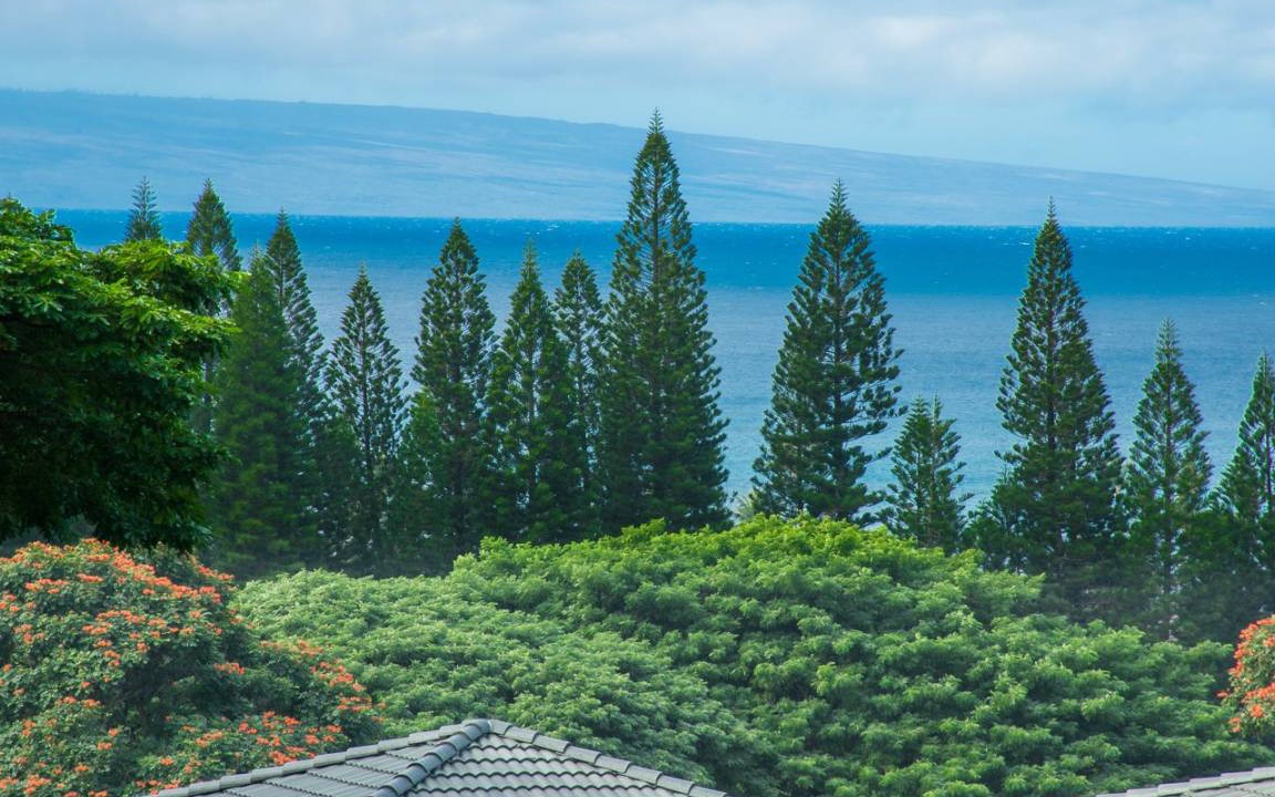Photo of Others in Kapalua