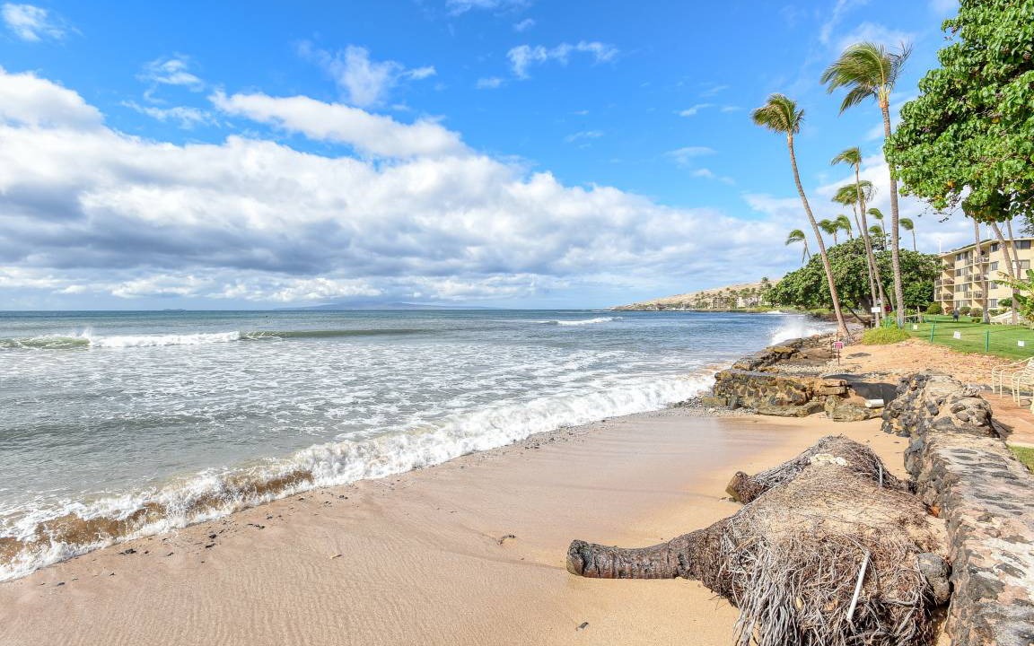 Photo of Others in Maalaea