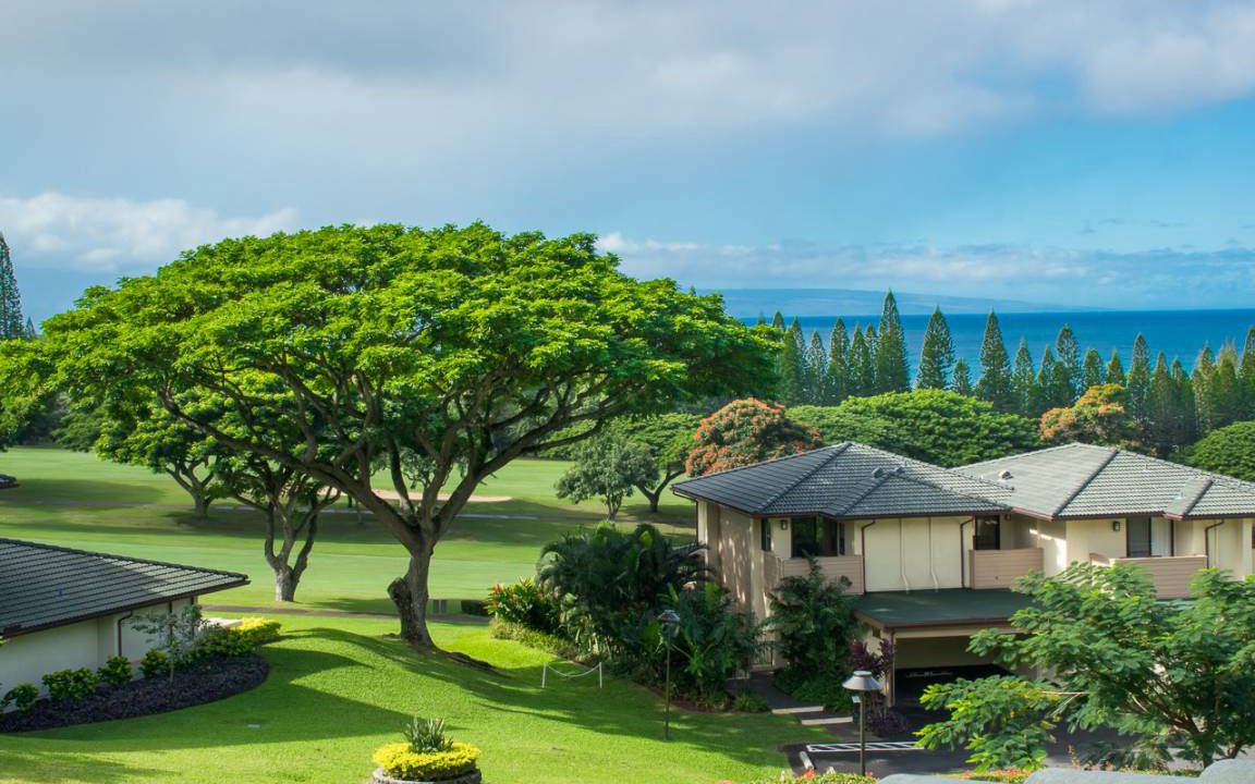 Photo of Buildings in Kapalua