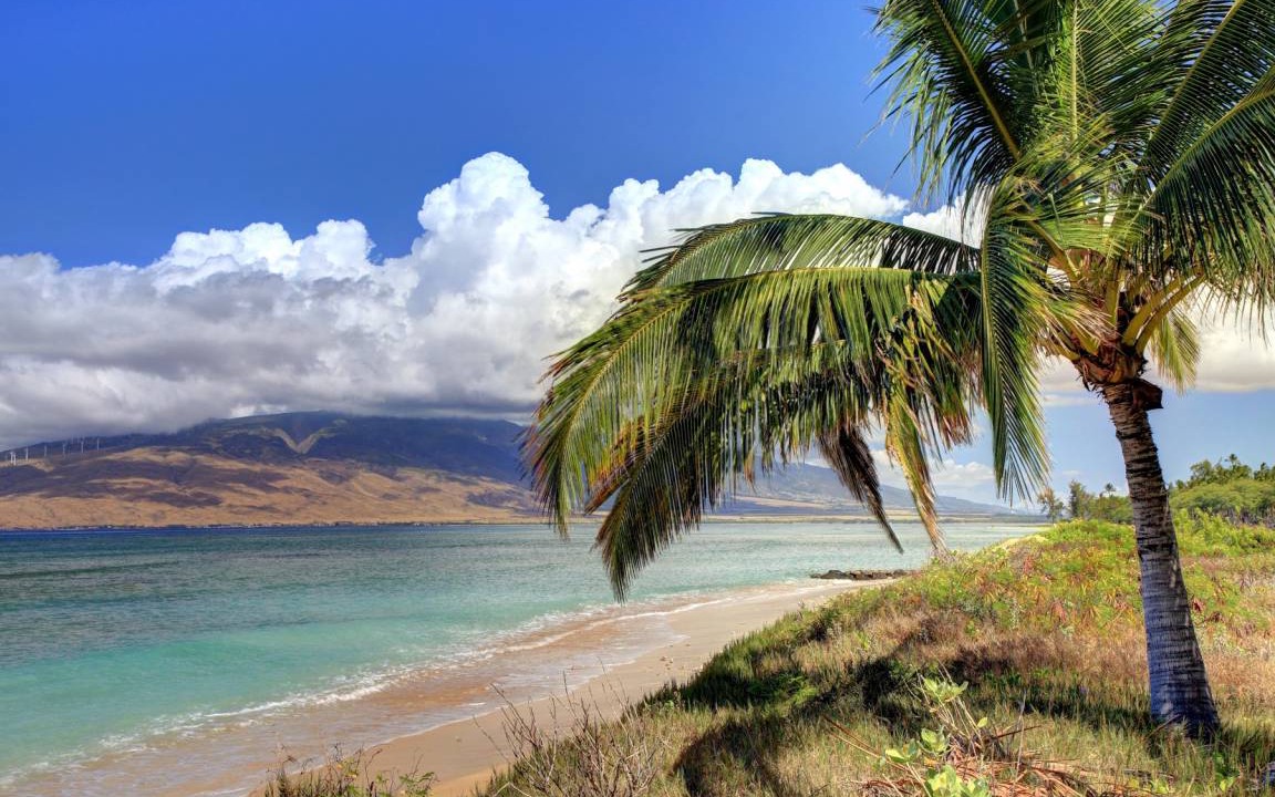 Photo of Others in Kihei