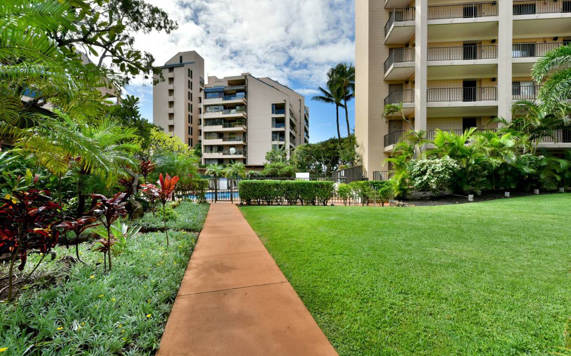 Photo of Others in Kahana