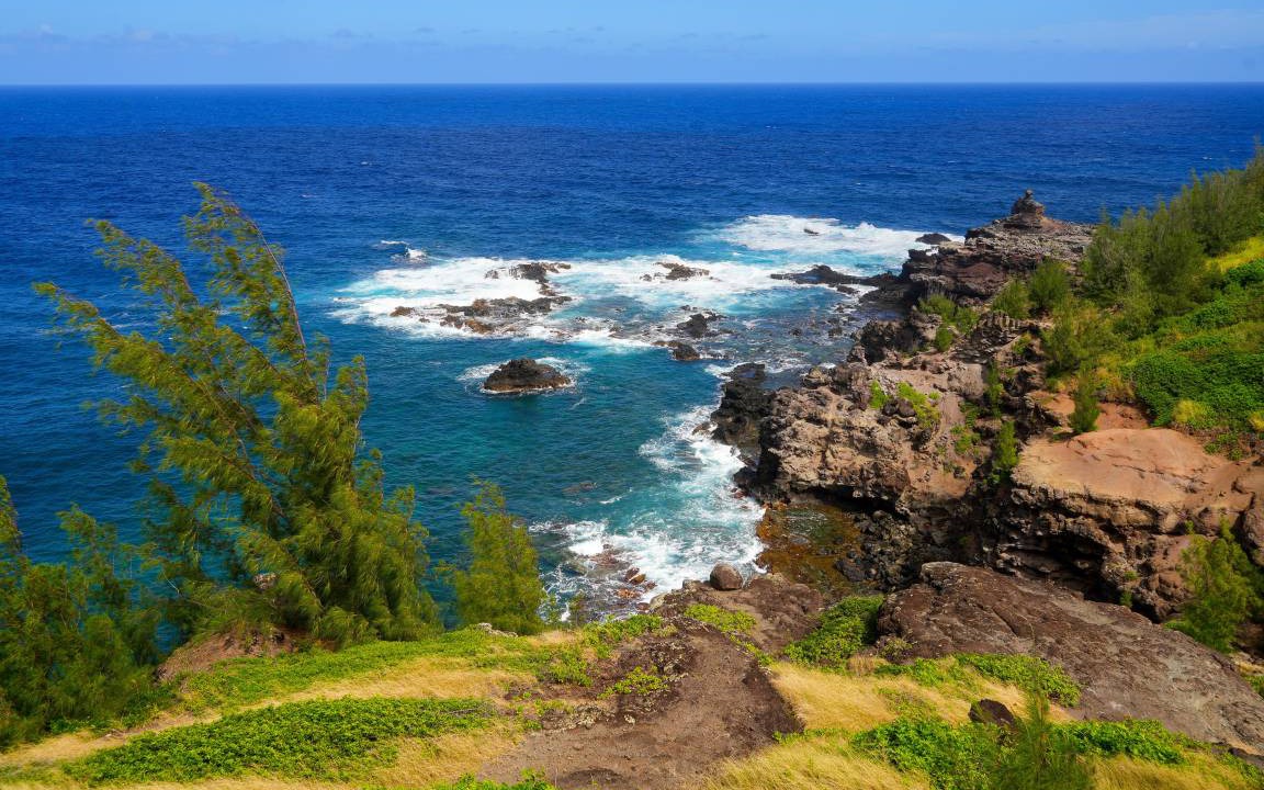 Photo of Others in Kaanapali