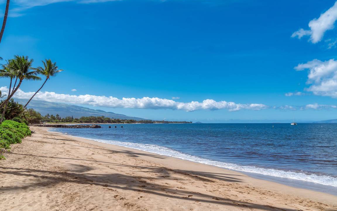 Photo of Others in Kihei