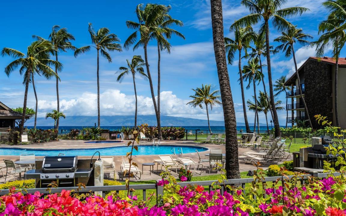 Photo of Others in Historic Lahaina Front Street