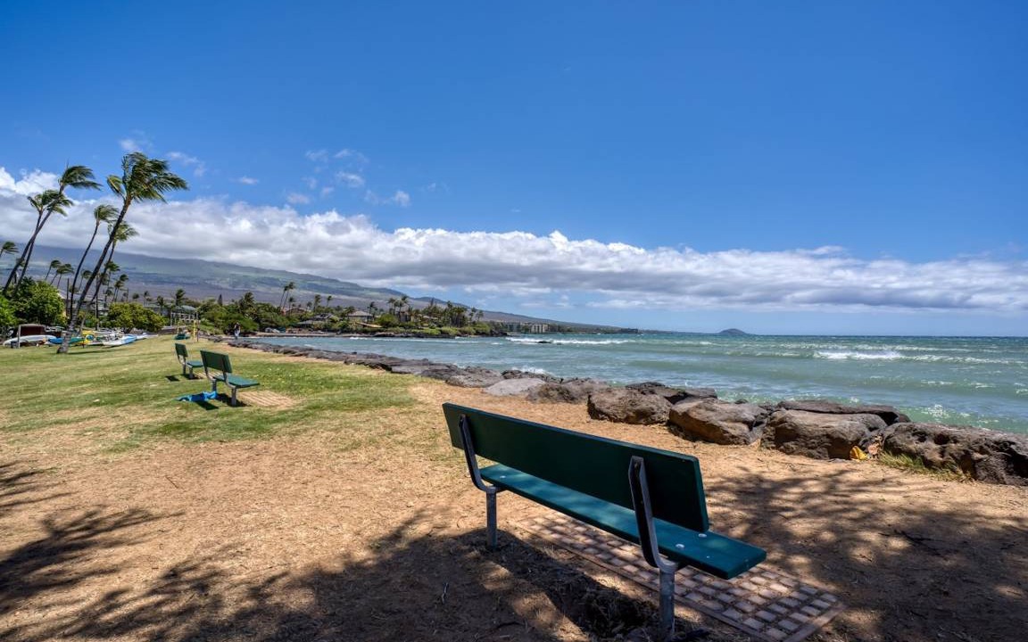 Photo of Others in Kihei